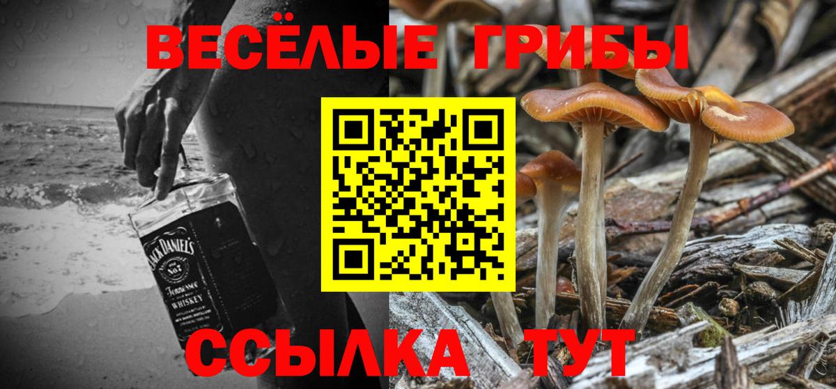 Псилоцибиновые грибы Magic Shrooms Черкесск